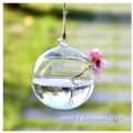 Hanging Glass Terrarium Ball Glass Vase